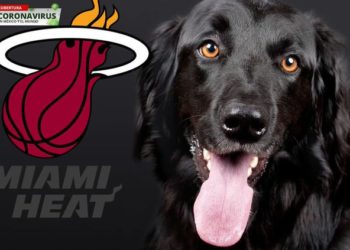 NBA: Miami Heat utilizará perros entrenados para detectar el Covid-19