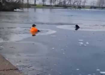 (VIDEO) Un hombre salta a las aguas de un lago congelado para salvar a un perro