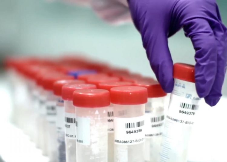 El fármaco plitidepsina logró reducir el 99% de la carga viral del covid-19 en pruebas de laboratorio