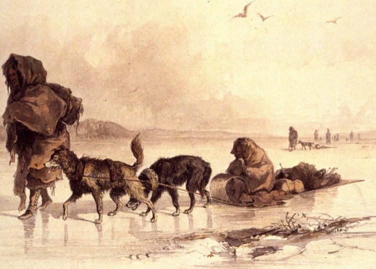 Descubren que los primeros pobladores de las Américas llegaron ya con perros domesticados