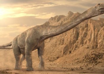(VIDEO) Un dinosaurio hallado en Argentina podría ser el más grande de la historia