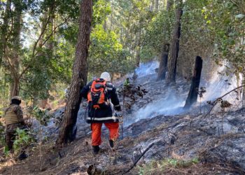 Controlan incendio forestal en el Complejo San Marcelino de Sonsonate