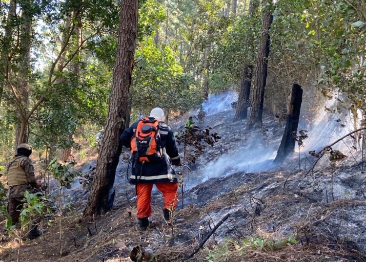 Controlan incendio forestal en el Complejo San Marcelino de Sonsonate