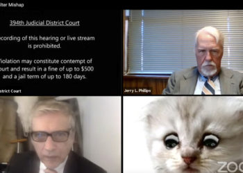 Un abogado de Texas comparece en una audiencia virtual y no logra apagar un filtro que lo hace ver como un gato