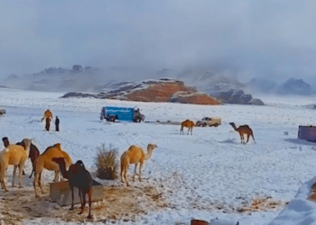 (VIDEO) La arena cubre la nieve que cayó en el desierto de Arabia Saudita creando un efecto ‘achocolatado’