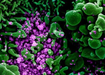 La variante británica «barrerá el mundo» y habrá que estar alerta al menos 10 años, según una experta del Reino Unido