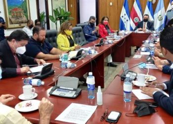 Comisión Política envía a archivo la iniciativa para declarar incapacidad mental del presidente Nayib Bukele