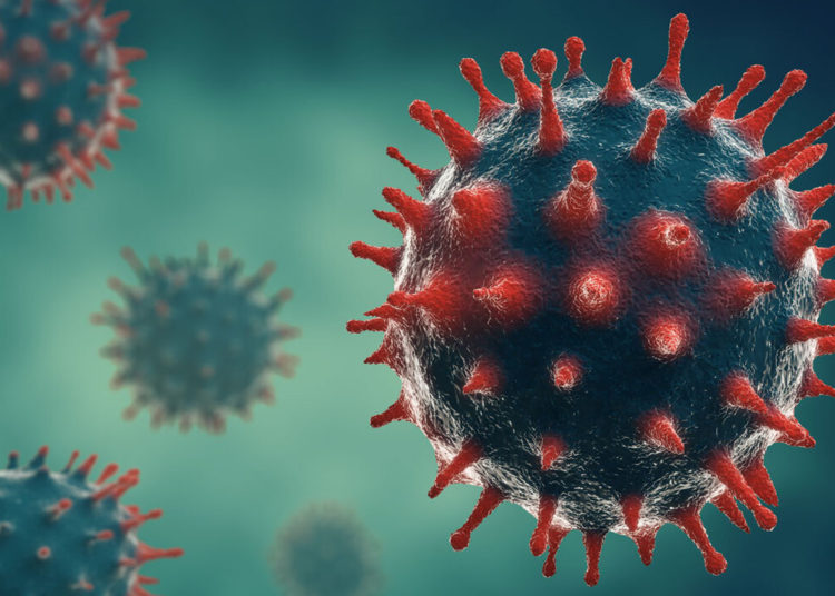 Hallan ‘el talón de Aquiles’ del coronavirus gracias a un anticuerpo clave en una infección de 2003