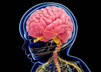 Científicos alertan que los productos químicos en los plásticos dañan el cerebro de los bebés