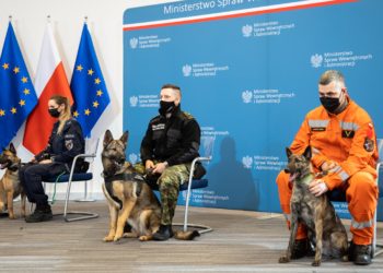 Los perros y caballos de la Policía polaca gozarán de cuidados vitalicios tras su jubilación