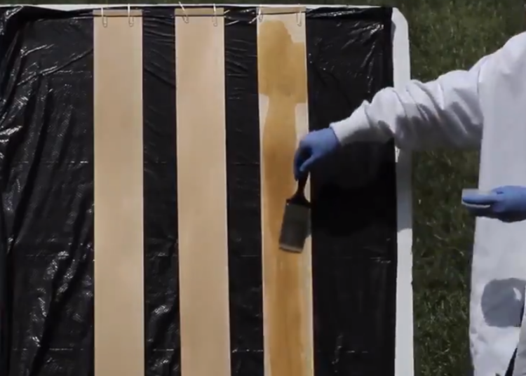 (VIDEO) Encuentran un modo sencillo de volver transparente la madera