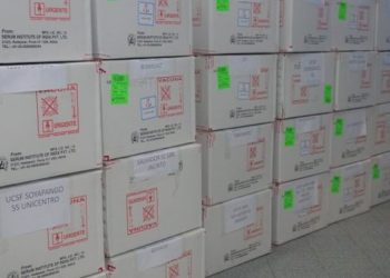 OPS aclara uso de cajas térmicas para vacunas