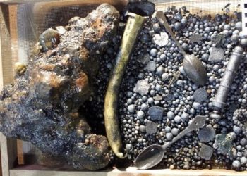 Recuperan seis esqueletos de un barco pirata, naufragado hace 300 años ante las costas de EE.UU.