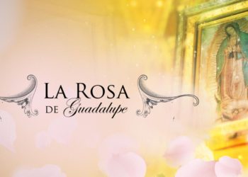 “La rosa de Guadalupe” es el programa más exitoso de Televisa en los últimos tiempos