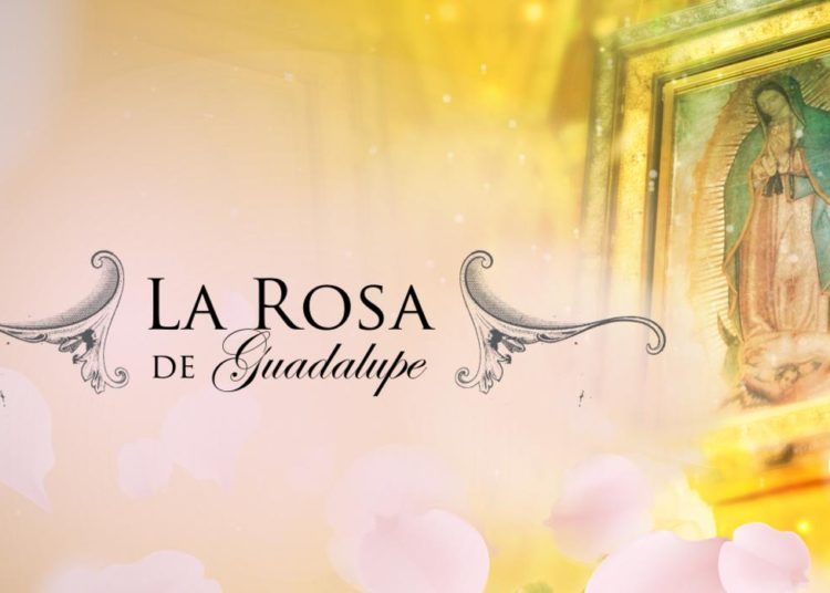 “La rosa de Guadalupe” es el programa más exitoso de Televisa en los últimos tiempos