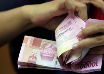 (VIDEO) Una plaga de termitas se come todos los ahorros de un granjero indio