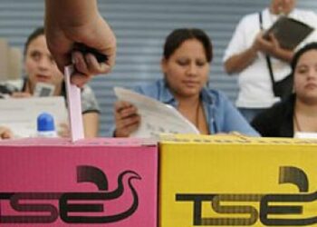 Más de 17 mil candidatos participan de las elecciones este domingo