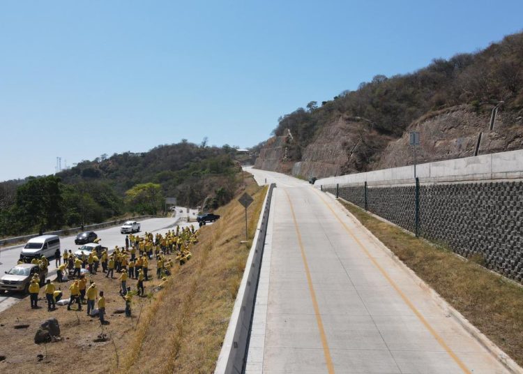 Inicia la siembra de 1 millón de árboles donados por CEL