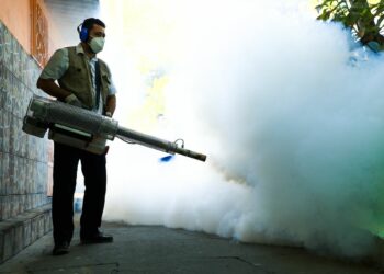 Salud redobla esfuerzos con jornadas de fumigación contra los zancudos