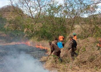 Fuerte incendio en Pasaquina deja al menos 165 hectáreas de terreno consumidas