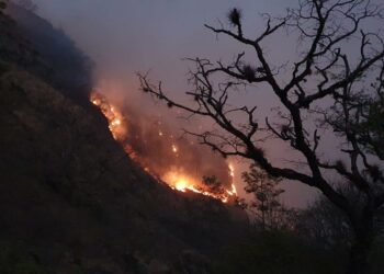 Instituciones de Gobierno y población trabajan en conjunto para sofocar el incendio forestal en Morazán