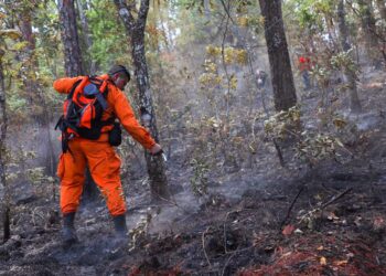 Concluyen trabajos de extinción de incendio en La Montañona, Chalatenango