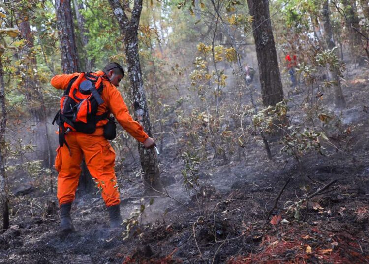 Concluyen trabajos de extinción de incendio en La Montañona, Chalatenango