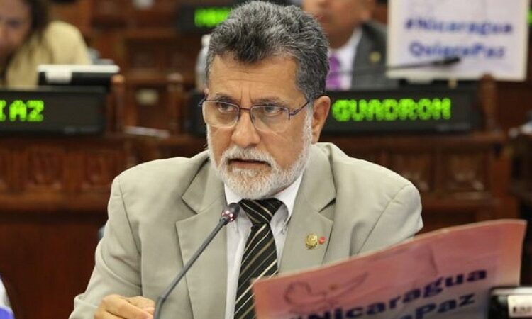 Autoridad Nacional del Agua aprobada por diputados salientes es un «arma» para protegerla, según Schafik Hándal