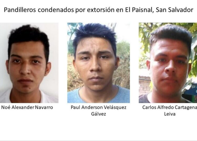 Condenan a 15 de prisión a tres pandilleros por el delito de extorsión en El Paisnal