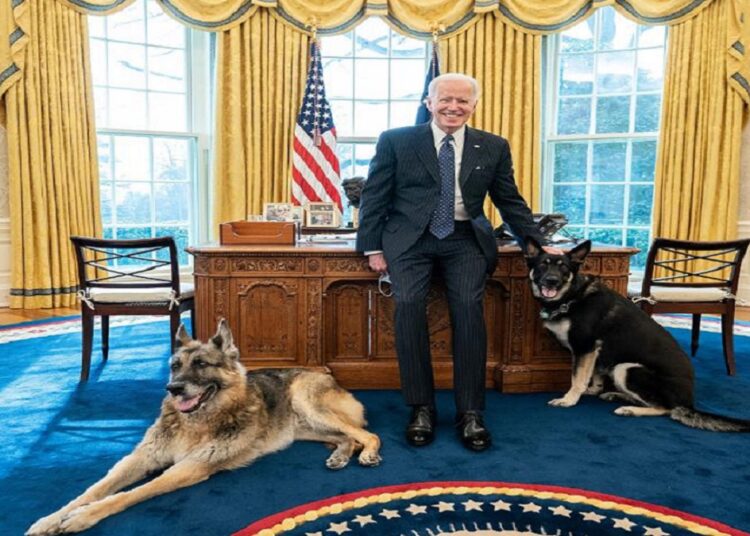 Sacan de la Casa Blanca a los dos perros de Joe Biden por comportamiento agresivo