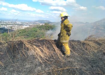 Bomberos cree que incendio en Cordillera el Bálsamo «fue provocado»