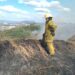 Bomberos cree que incendio en Cordillera el Bálsamo «fue provocado»