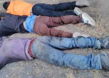 Terroristas capturados por privar de libertad a conductor de rastra