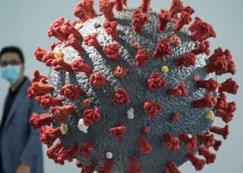 La OMS concluye que el coronavirus se habría propagado a los humanos de murciélagos a través de otro animal