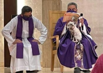 Fotografía de sacerdote mexicano se viraliza por oficiar misa con su perrita en el regazo