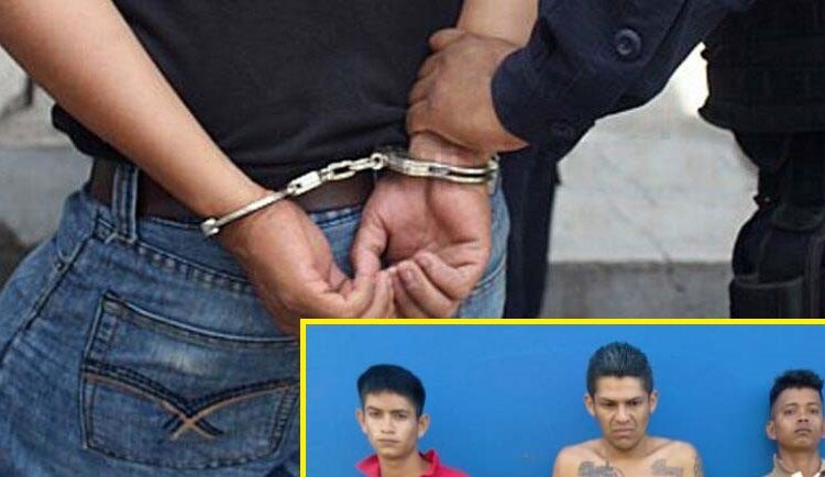 Criminales capturados por hurto y robo en Zacatecoluca, La Paz