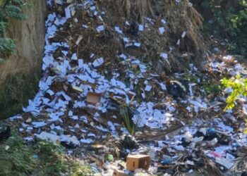 Descubren cientos de documentos, presuntamente de la Asamblea Legislativa, tirados en una quebrada