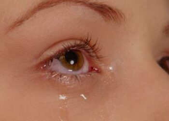 Científicos crean glándulas lagrimales humanas y logran hacerlas llorar