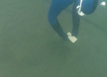 (FOTO, VIDEO) Una mujer recupera su iPhone en funcionamiento tras permanecer seis meses en el fondo de un lago