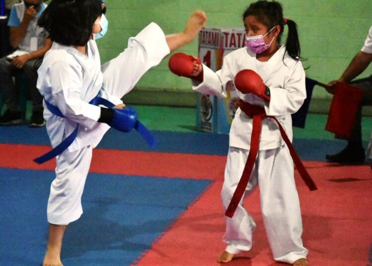 Karate do desarrollo la copa Kenkyo