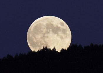 Proponen crear en la Luna un banco de esperma para proteger a la humanidad en caso de una catástrofe