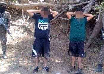 Droga era ingresada por menores al país por puntos ciegos