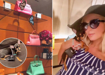 Paris Hilton le compra un bolso de 5 mil dólares a su perro
