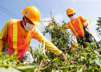 Plan Cero Ocio permite a reos en fase de confianza realizar actividades de limpieza