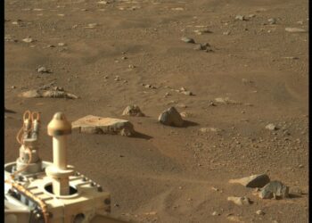 (FOTOS, VIDEO) El róver Perseverance da su primer paseo sobre la superficie de Marte