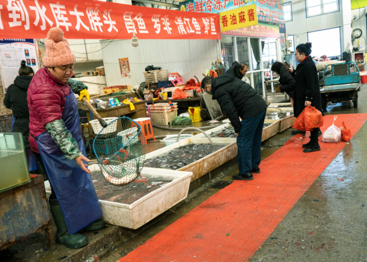 Investigadores de la OMS creen haber encontrado el origen del coronavirus