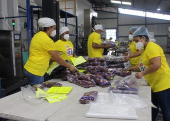 Marca «Don Frijol» se posiciona como el número 1 de las familias salvadoreñas