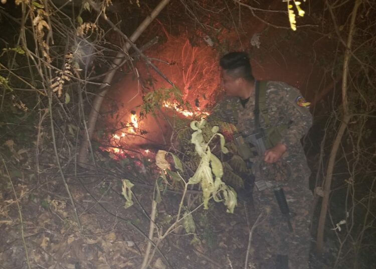 Bomberos, Fuerza Armada y cuerpos de socorro controlan incendios forestales en diferentes puntos del país