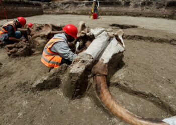 El cementerio de mamuts más grande del mundo está debajo de un aeropuerto que se construye en México