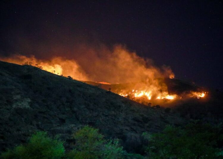 Presidente Bukele pide a próxima Asamblea Legislativa aprobar penas drásticas contra provocadores de incendios forestales